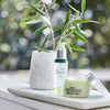 Olive Virgin Oil Essential Cream - Bella Tokyo